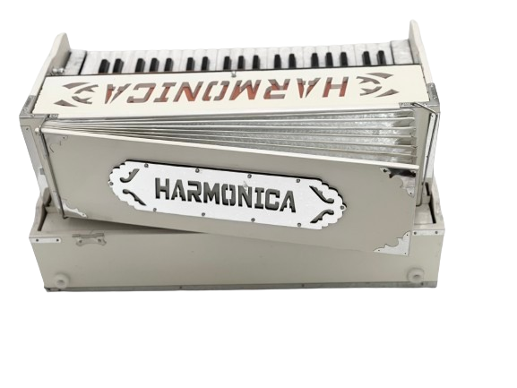 HARMONIUM PORTABLE ( VERTICLE 2 LINE)